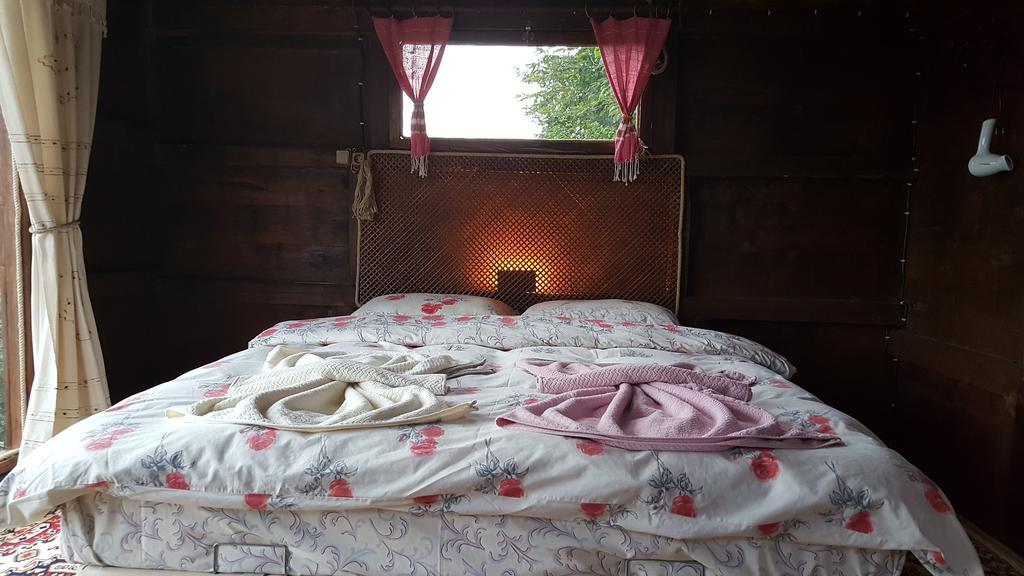 アルトヴィン Olimbera Koy Evi Bed & Breakfast エクステリア 写真